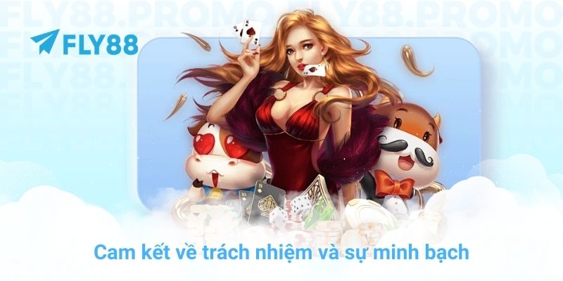 Cam kết về trách nhiệm và sự minh bạch